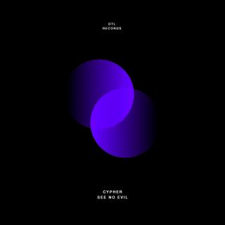 Artwork for See No Evil (Original Mix)
