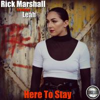 Artwork for Here To Stay by Rick Marshall