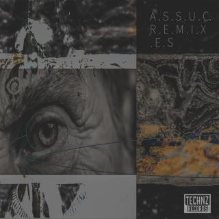 Artwork for Managers (Assuc Remix)