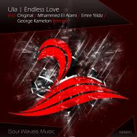 Artwork for Endless Love by Ula