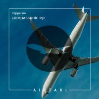 Artwork for Compassonic EP by Peppelino