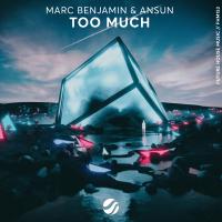 Artwork for Too Much by Marc Benjamin