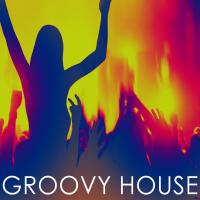 Artwork for Groovy House by Deep House