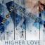 Artwork for Higher Love (Nkokhi Reinterpretation Mix)