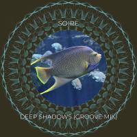Artwork for Deep Shadows (Groove Mix) by Soire