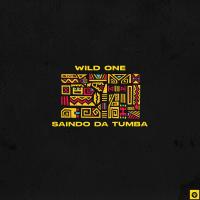 Artwork for Saindo Da Tumba by Wild One94