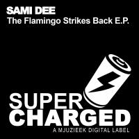 Artwork for The Flamingo Strikes Back E.P. by Sami Dee