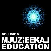 Artwork for Mjuzieekal Education, Vol. 6 by Various Artists