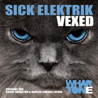 Artwork for Vexed by Sick Elektrik