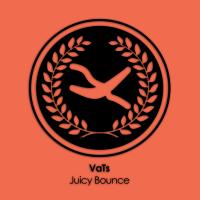 Artwork for Juicy Bounce by VaTs