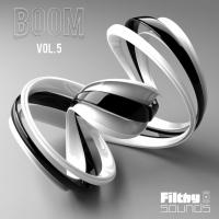 Artwork for BOOM Vol. 5 by Various Artists