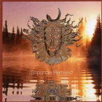 Artwork for Shpongle Remixed by Shpongle