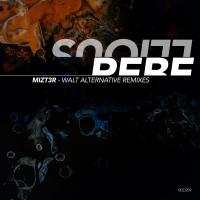 Artwork for Walt Alternative Remixes by Mizt3r