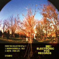 Artwork for From The Collective EP Pt.1 by RDMGRL