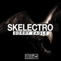 Artwork for Sorry Eagle by Skelectro