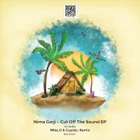 Artwork for Cut Off The Sound EP by Nima Gorji