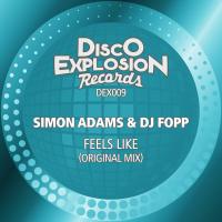 Artwork for Feels Like by Simon Adams