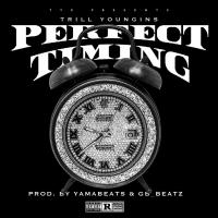 Artwork for Perfect Timing by Trill Youngins