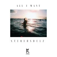 Artwork for All I Want by Stereosoulz