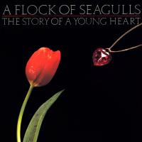 Artwork for The Story of a Young Heart (Bonus Tracks Edition) by A Flock Of Seagulls