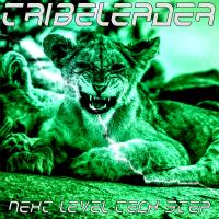 Artwork for NEXT LEVEL TECH STEP by Tribeleader