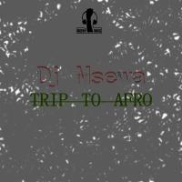Artwork for Trip To Afro by DJ Msewa