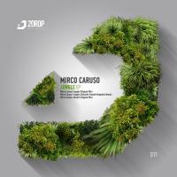 Artwork for Jungle EP by Mirco Caruso