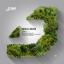 Artwork for Jungle (Original Mix)