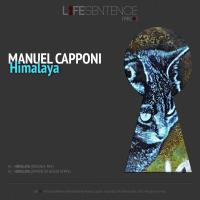 Artwork for Himalaya by Manuel Capponi