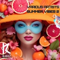 Artwork for Summer Vibes 2 by Various Artists