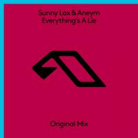 Artwork for Everything's A Lie by Sunny LAX