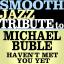 Artwork for Haven't Met You Yet (Made Famous by Michael Buble)