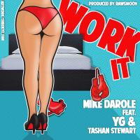 Artwork for Work It (Feat. YG & Tashan Stewart) by Mike Darole