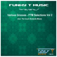 Artwork for Various Grooves: FTM Selections, Vol. 2 by Dj Funky T