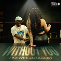 Artwork for Without You by Peewee Longway