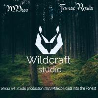 Artwork for Forest Roads by MDeco