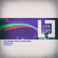 Artwork for Module by Following Light