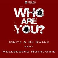 Artwork for Who Are You? by Ignite