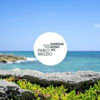 Artwork for Humedad Mono 103 by Pablo Brizzio
