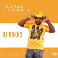 Artwork for Two Birds One Stone EP by Dj Bakk3