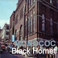 Artwork for Black Hornet by Monococ