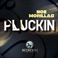 Artwork for Pluckin by Noe Morillas