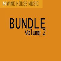 Artwork for Bundle Vol. 2 by Various Artists