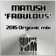 Artwork for Fabulous (Vocal Mix)
