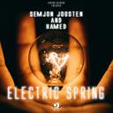 Artwork for Electric Spring