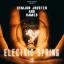 Artwork for Electric Spring