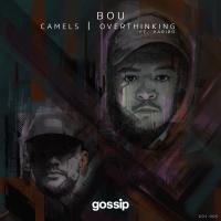 Artwork for Camels / Overthinking by Bou