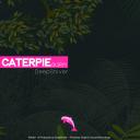Artwork for Caterpier (Original Mix)