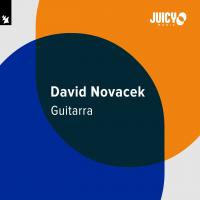 Artwork for Guitarra by David Novacek