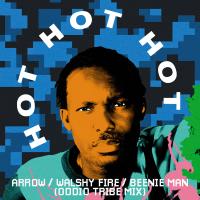 Artwork for Hot Hot Hot (Oddio Tribe Remix) by Arrow